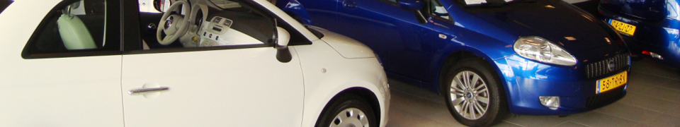 fiatgrandepunto500.jpg
